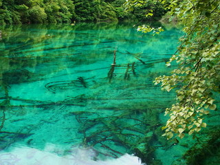 Jiuzhaigou, China, 九寨溝