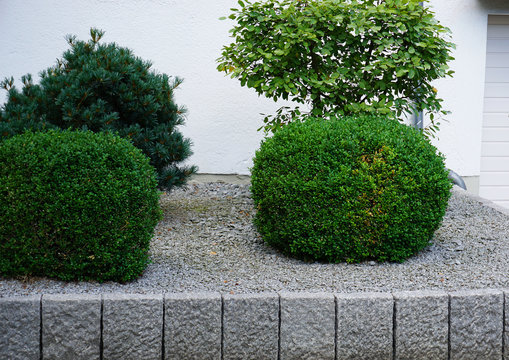 Vorgarten, Garten mit Buxus, Kies und Kantsteinen