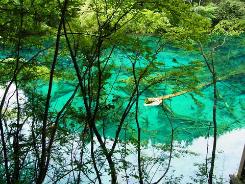 Jiuzhaigou, China, 九寨溝