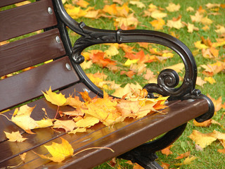 Yellow leaves lie on a bench in park in autumn