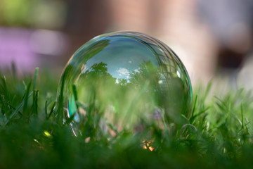 Glaskugel im Garten