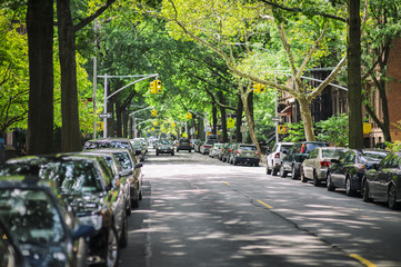 A quiet leafy street in Park Slope, Brooklyn. - obrazy, fototapety, plakaty