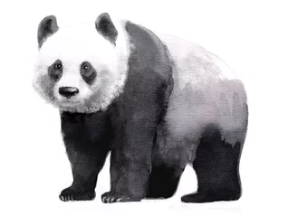 Foto op Plexiglas Voor haar aquarel illustratie van panda, geïsoleerde tekening met de hand van dieren