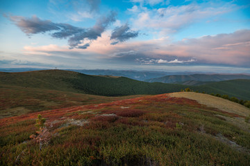 Wild nature of Altai mountains