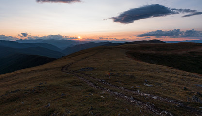 Wild nature of Altai mountains