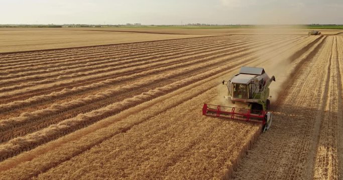 Aerial shot of a combine harvester in action on wheat field.