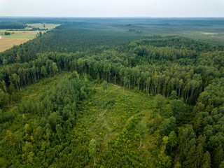 Fototapeta na wymiar drone image. aerial view of rural area with fields and forests under dramatic storm clouds forming
