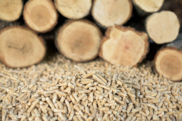 Pile of Beech pellets in front of pile of beech wood