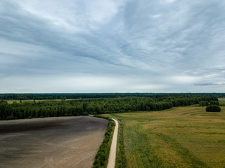 drone image. aerial view of rural gravel road in green forest and trees with shadows from above