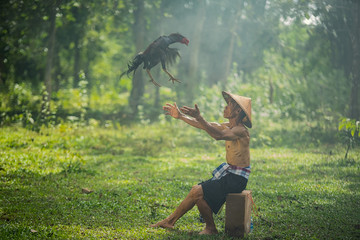 Asian farmer are training his fighting cock. © visoot
