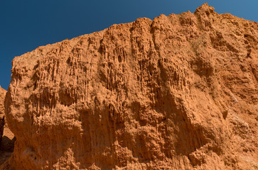 Fototapeta premium Wild nature of Altai mountains