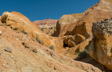 Obraz premium Wild nature of Altai mountains