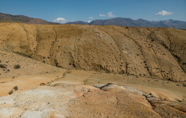 Wild nature of Altai mountains