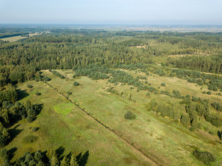 drone image. aerial view of rural area with fields and lonely trees. textured background