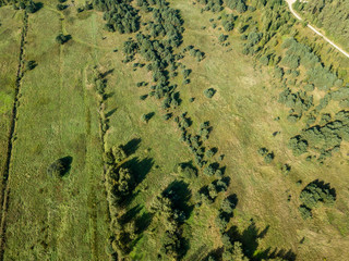 drone image. aerial view of rural area with fields and lonely trees. textured background