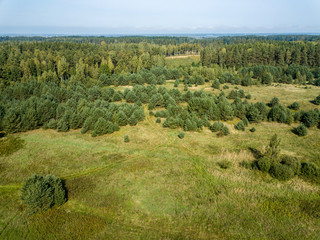 drone image. aerial view of rural area with fields and forests. textured background