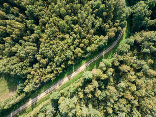 drone image. aerial view of rural gravel road in green forest and trees with shadows from above