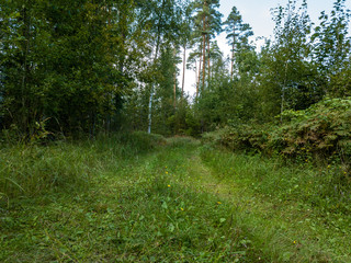 drone image. aerial view of rural area with fields and forests. textured background