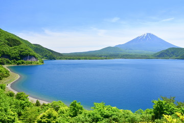 Naklejka na ściany i meble 本栖湖と富士山