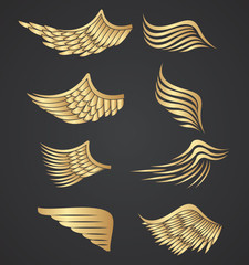 Set of colorful wings drawings