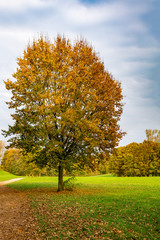 Fototapeta na wymiar Goldener Herbst im Park