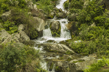 Fototapeta na wymiar cascade of waterfalls in the forest among the stones