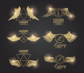 Set of golden wings emblems