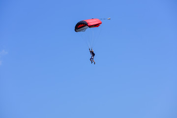 Fototapeta na wymiar parachutist descends into the blue sky on a sunny day