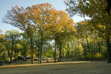 Central Park im Herbst (Indian Summer), New York City, USA