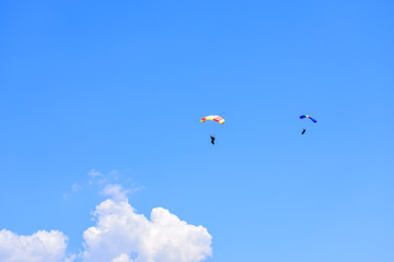 Fototapeta na wymiar Two paratroopers descend against a blue sky