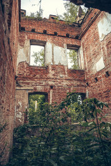 Inside ruined, abandoned ancient brick aged castle building overgrown with grass and plants