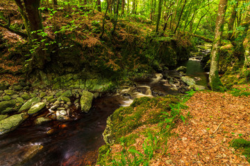 Comeragh Mountains