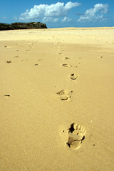 Fußspuren um Sand