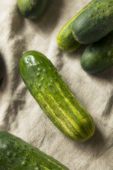 Raw Organic Green Pickling Cucumbers