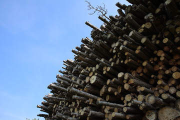 Holzstapel von unten