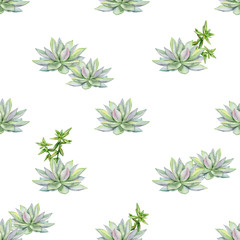 Watercolor succulents seamless pattern, echeveria illustration, botanical painting of dudleya and zwartkop. Stone rose. Sempervivum art. Elements for design of invitations, posters, fabrics. 