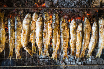 A small river or sea fish grilled or smoked at the stake. Close up. 