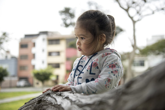 Little Girl Hugging A Tree, Looking Up