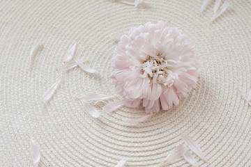 Pink flower on a pink fabric background