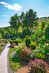 Fototapeta premium The territory of the arboretum. The Village Of Altai, Gorny Altai, Southern Siberia