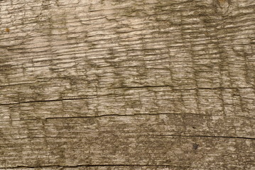 Old wood texture , dirty surface wooden background 