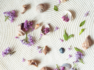 Shells and flowers of a lilac on a light fabric background