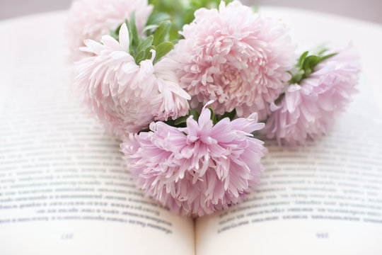 Bouquet of pink colors on the opened book