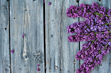 Fototapeta na wymiar Bouquet of a lilac and card on a dark wooden background