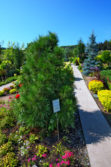 The territory of the arboretum. The Village Of Altai, Gorny Altai, Southern Siberia