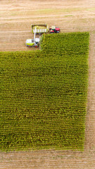 Maisernte auf Feld mit Traktor von oben © Raphael Koch