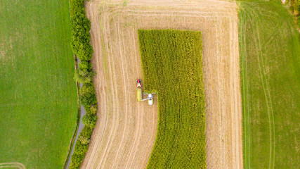 Maisernte auf Feld mit Traktor von oben © Raphael Koch
