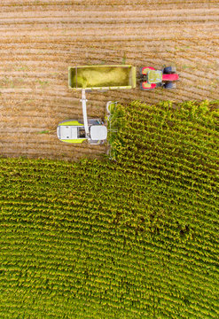 Maisernte auf Feld mit Traktor von oben