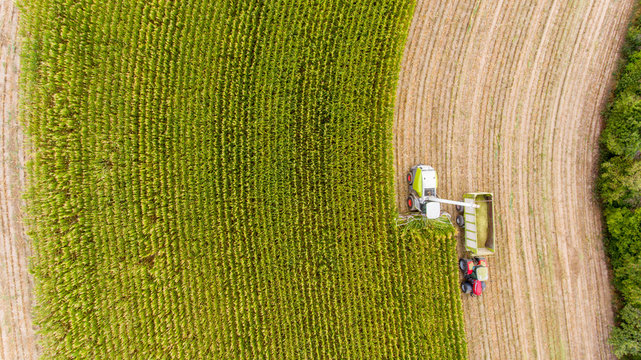 Maisernte auf Feld mit Traktor von oben