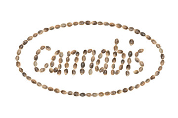 The word Cannabis with ellipse frame written using hemp seeds and isolated on white background